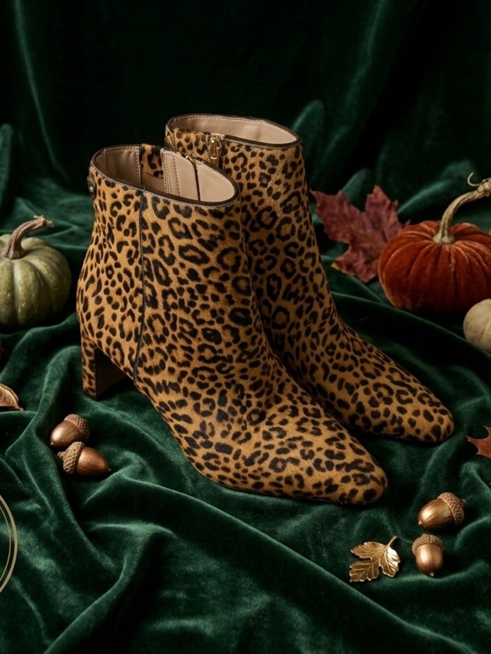 Sam Edelman Saige Leopard Print Calf Hair Ankle Boots in Tan and Black Size 6